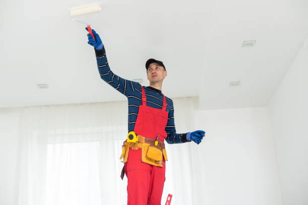 Professional Dry wall and painting in Palm Valley, FL